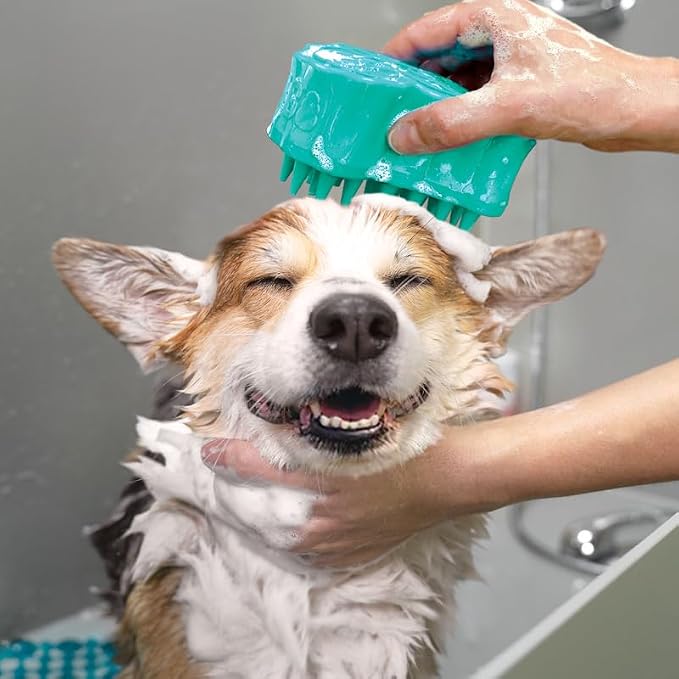 Escova KONG ZoomGroom Bubbles para cães