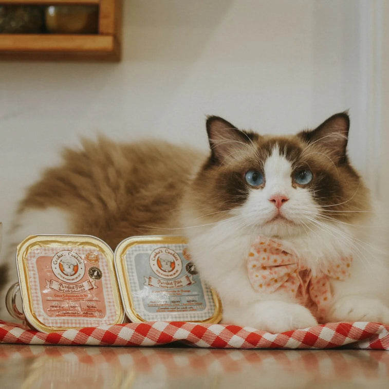 Cooka's Cookies Chicken Pâté - Ração Húmida para gatos