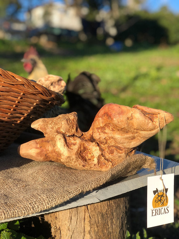 Ericas - Raiz de Urze - DOGGIE STORE
