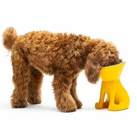 Comedouro para cao United Pets Up Elisabeth Preto
