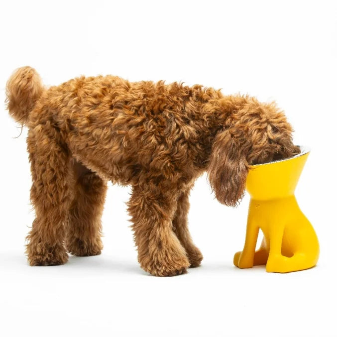 Comedouro para cao United Pets Up Elisabeth Preto