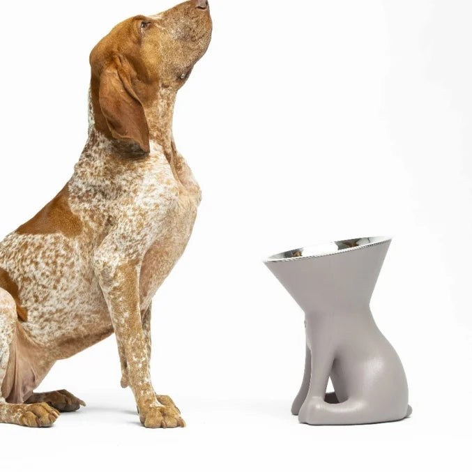 Comedouro para cao United Pets Up Elisabeth Preto