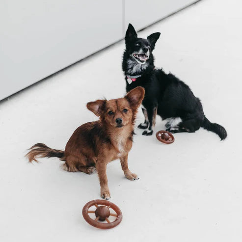 Brinquedo para cães - Rub Wheel