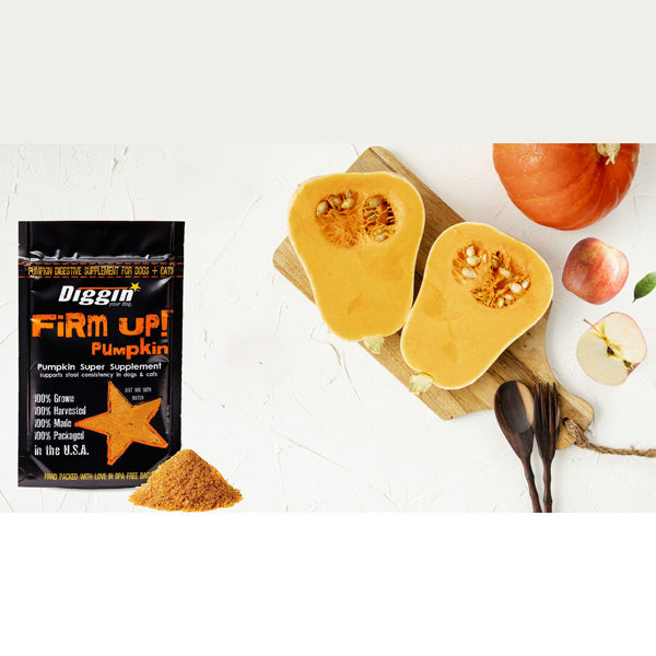 FiRM UP! Pumpkin Original Intestinal Regulator