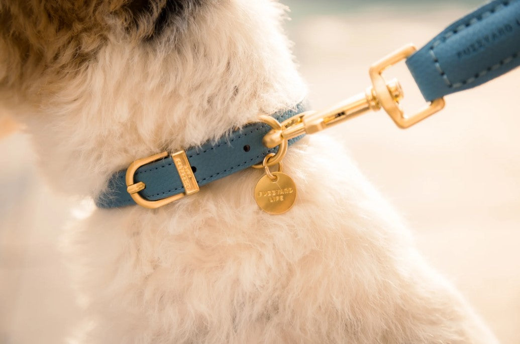 FuzzYard LIFE Cotton Collar - French Blue