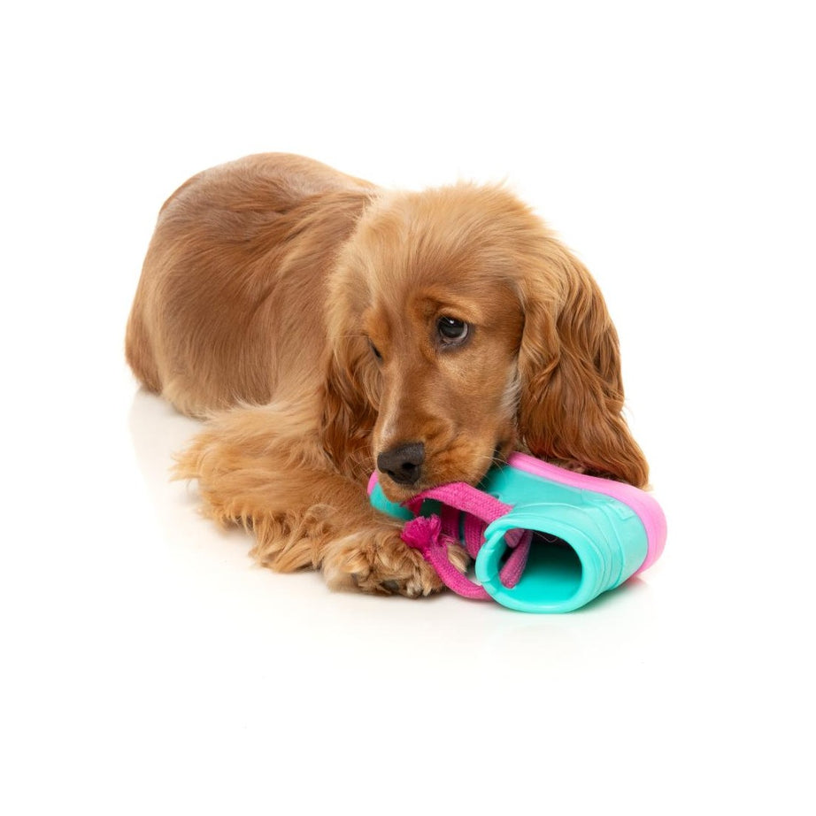 FuzzYard Brinquedo Interativo para Roer com Dispensador de Snacks – Fresh Kicks n' Licks