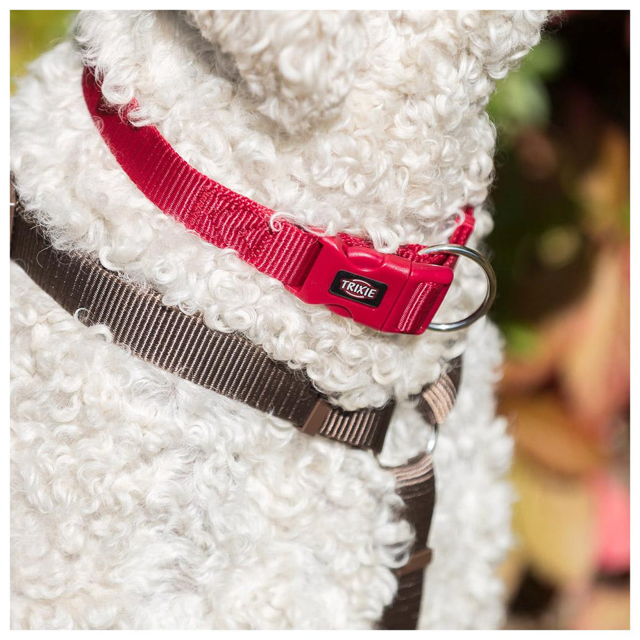 Coleira Premium Trixie para cão | Fuchsia