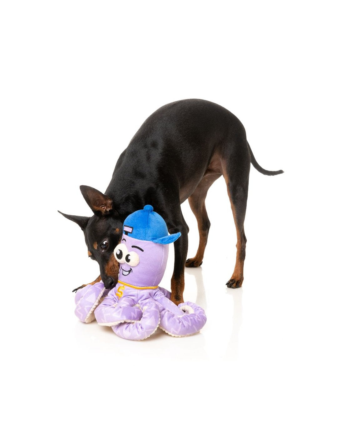 FuzzYard Dog Toy - Ducks - Ducktor