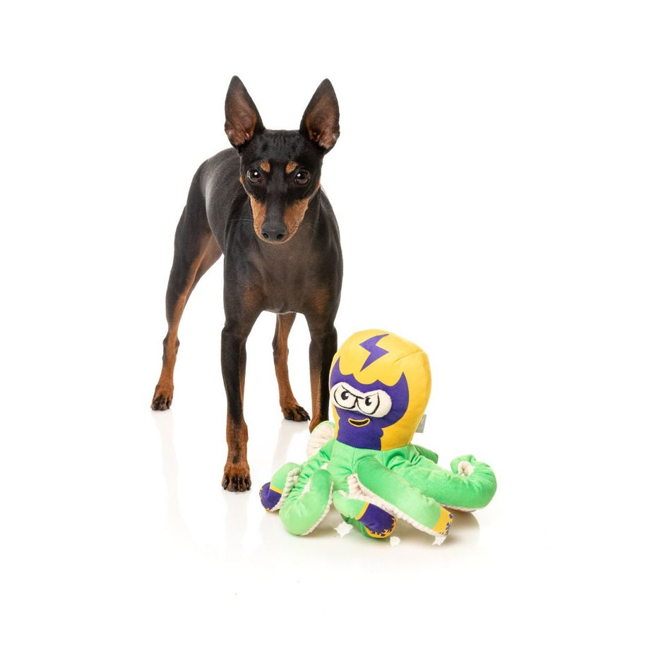 FuzzYard Dog Toy - Ducks - Ducktor