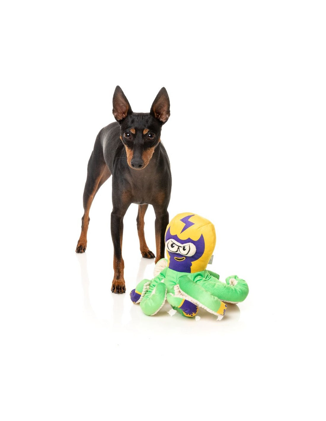 FuzzYard Dog Toy - Ducks - Ducktor