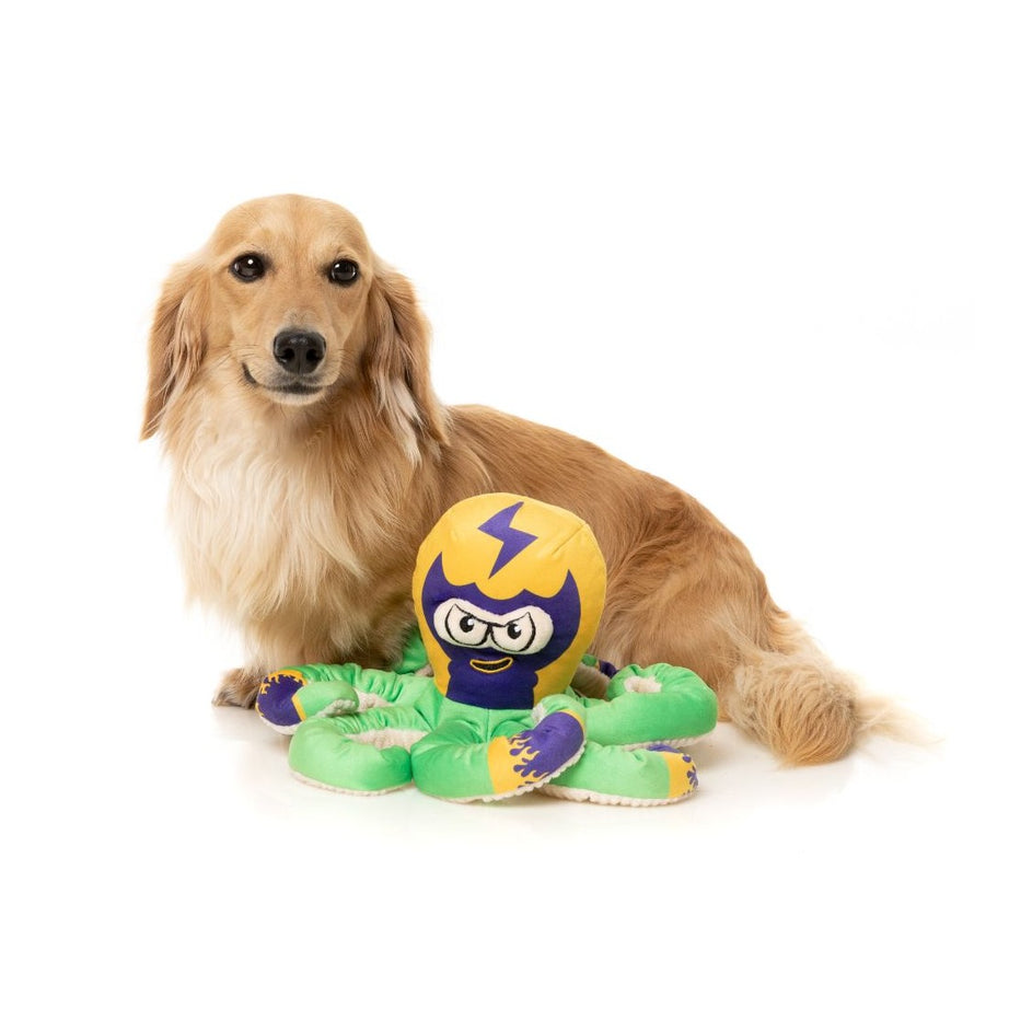 FuzzYard Dog Toy - Ducks - Ducktor