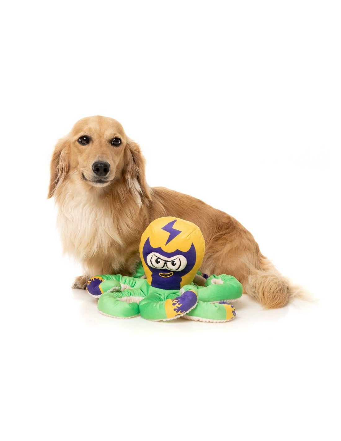 FuzzYard Dog Toy - Ducks - Ducktor