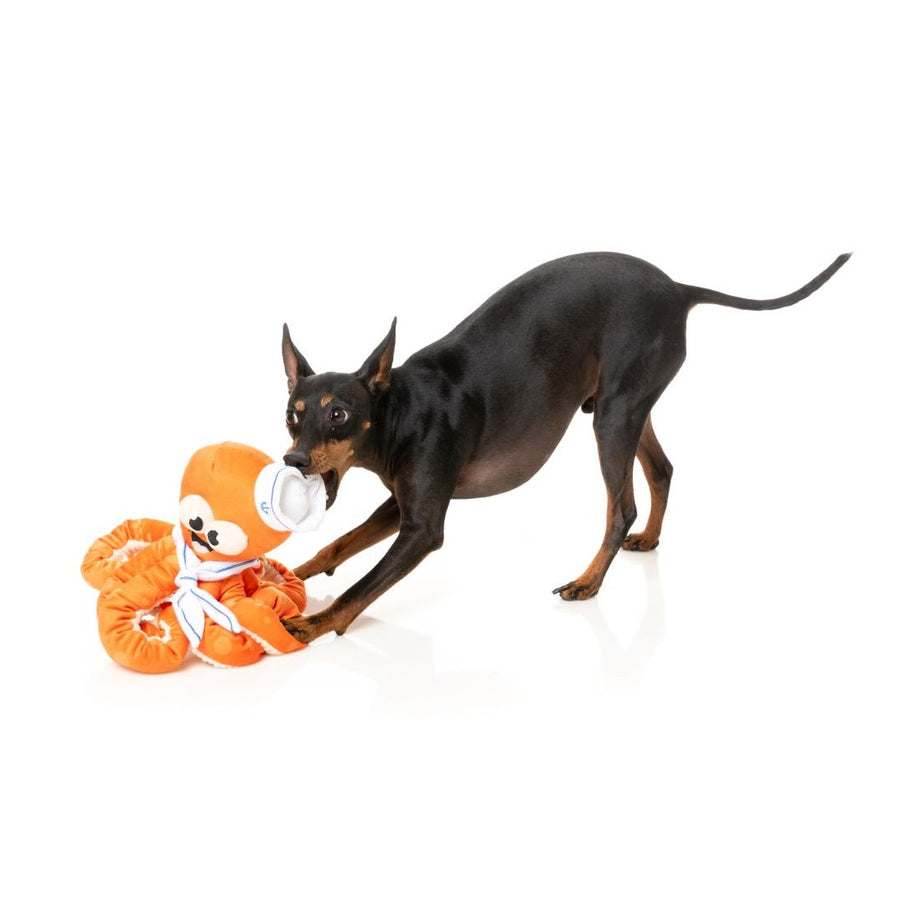FuzzYard Dog Toy - Ducks - Ducktor