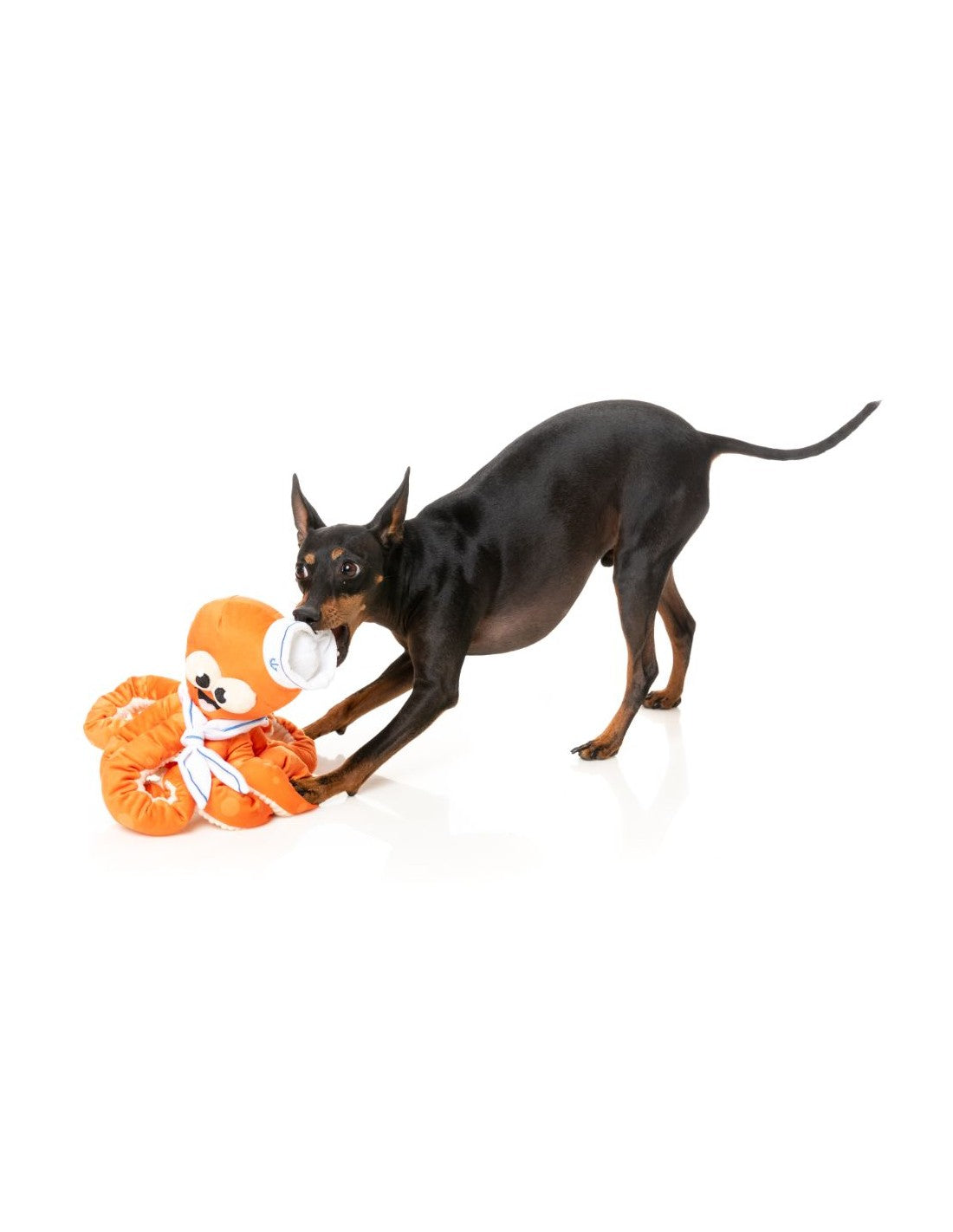 FuzzYard Dog Toy - Ducks - Ducktor