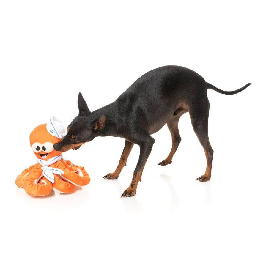 FuzzYard Dog Toy - Ducks - Ducktor