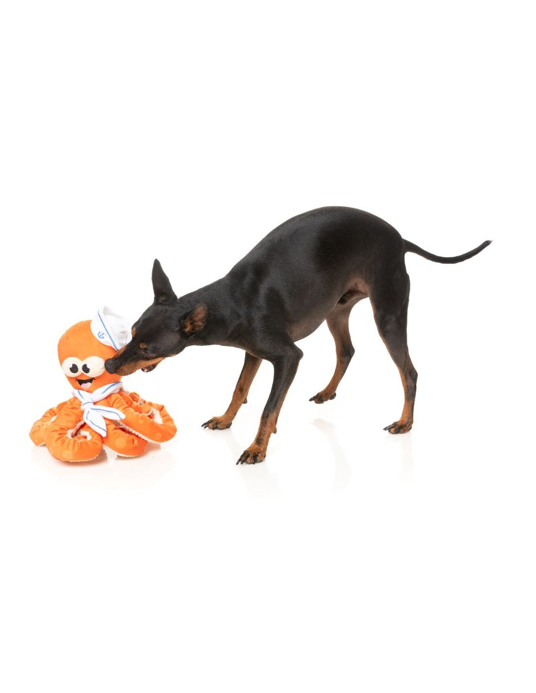 FuzzYard Dog Toy - Ducks - Ducktor