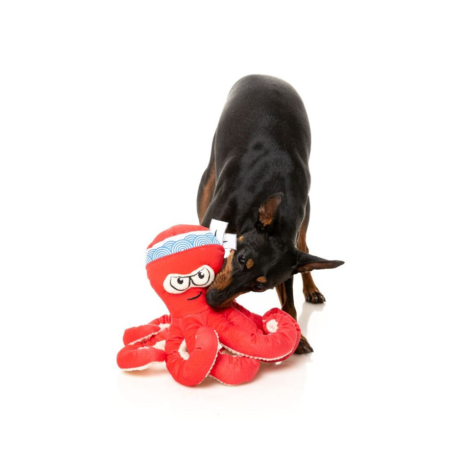 FuzzYard Dog Toy - Ducks - Ducktor