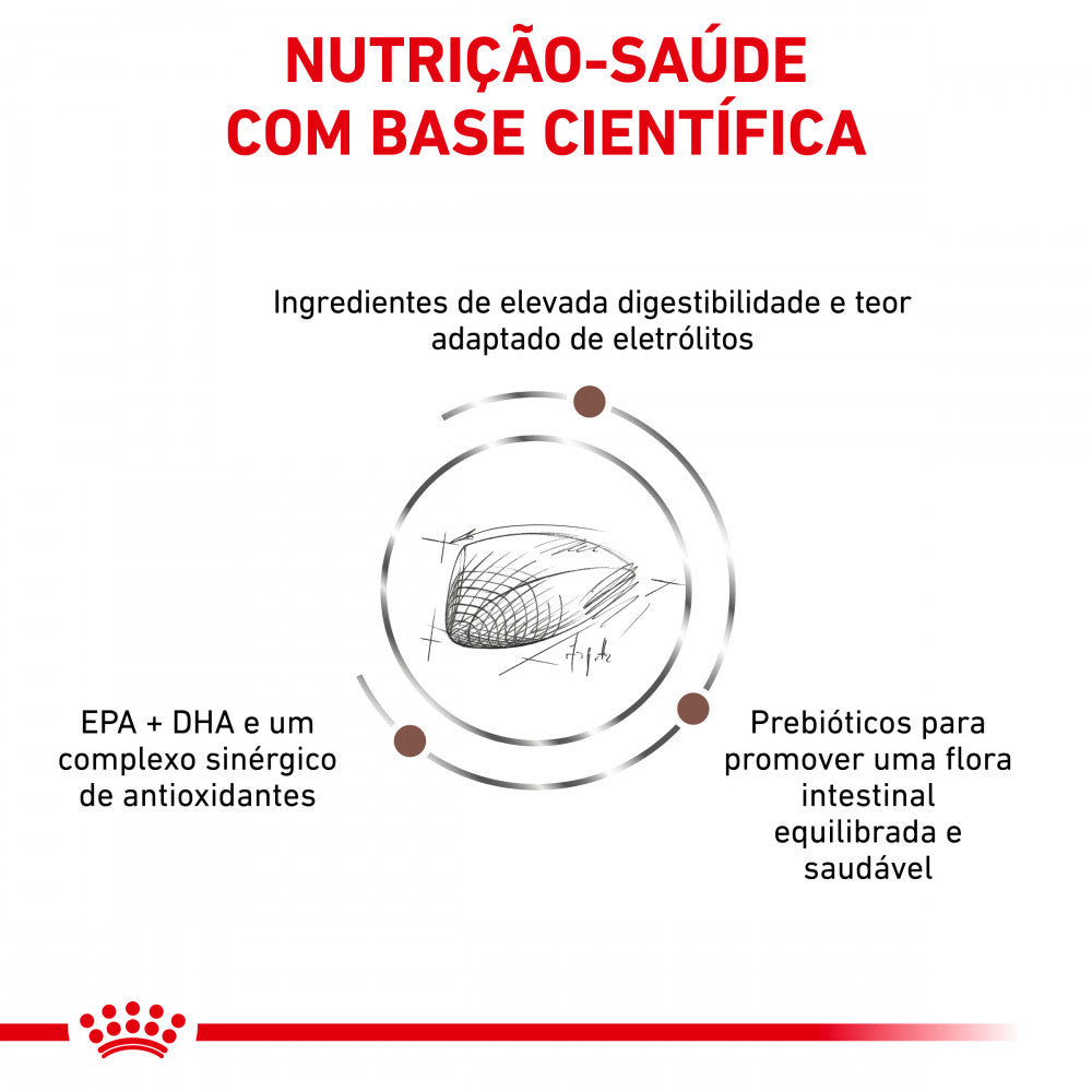 Royal Canin® Veterinary Gastrointestinal – Ração para Gatos com Sensibilidade Digestiva