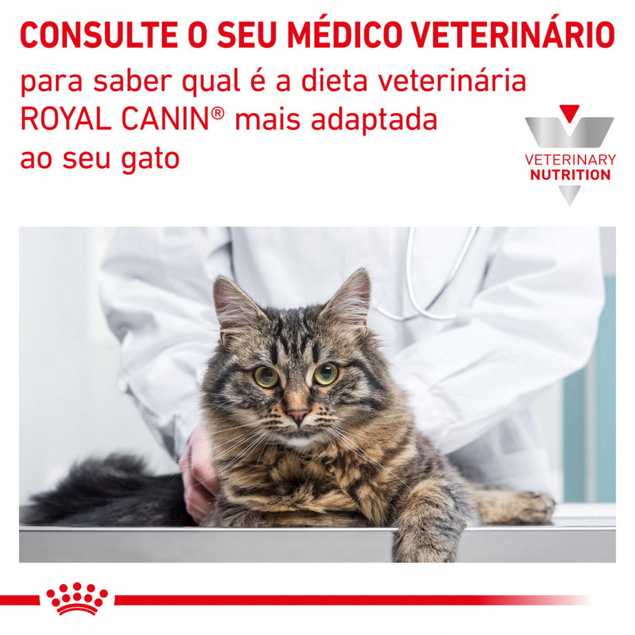 Royal Canin® Veterinary Gastrointestinal – Ração para Gatos com Sensibilidade Digestiva