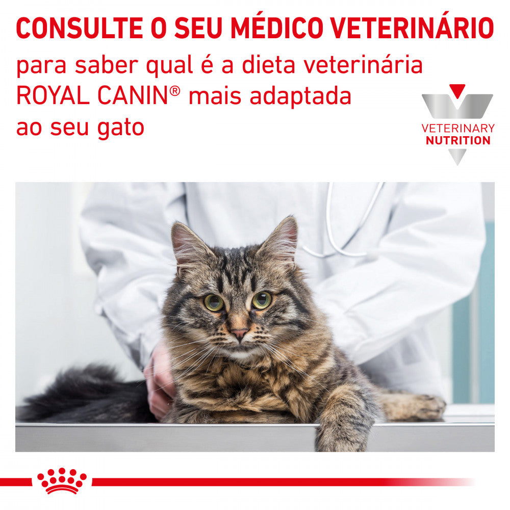 Royal Canin® Veterinary Gastrointestinal – Ração para Gatos com Sensibilidade Digestiva