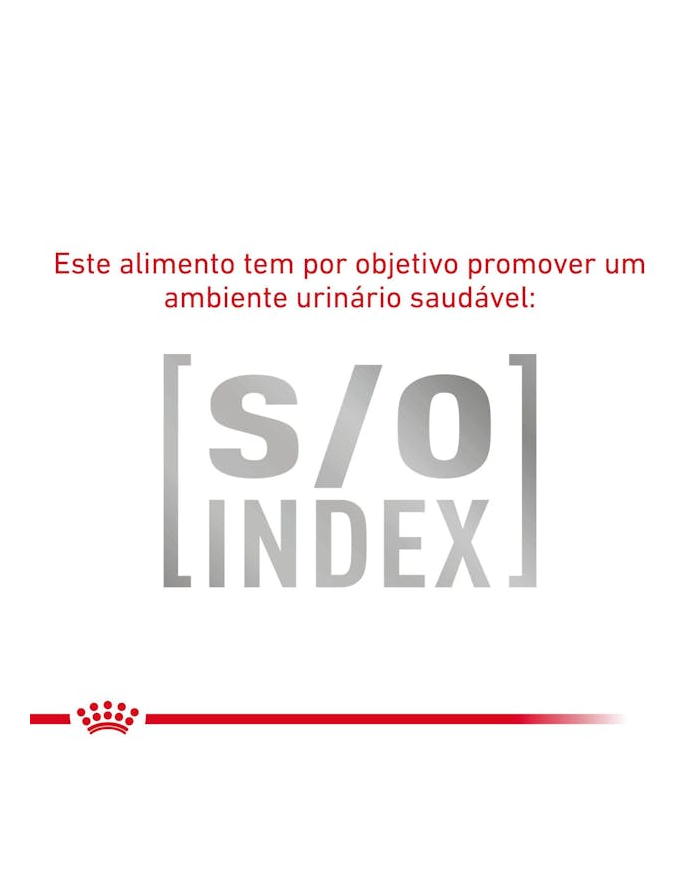 Royal Canin® Veterinary Gastrointestinal Low Fat Small Dog – Ração para Cães Adultos de Raças Pequenas com Baixo Teor de Gordura