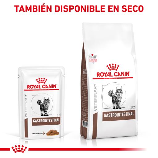Royal Canin® Veterinary Gastrointestinal – Alimento Húmido para Gatos Adultos com Sensibilidades Gastrointestinais