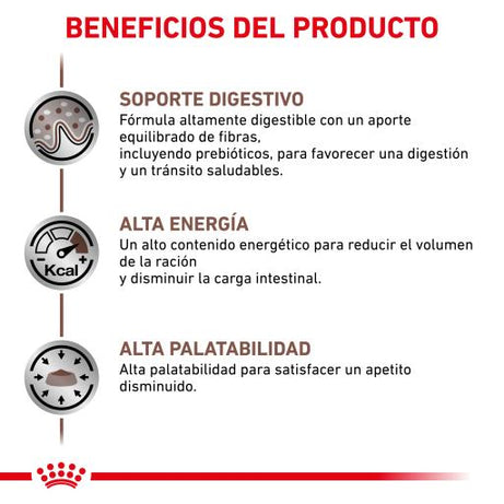 Royal Canin® Veterinary Gastrointestinal – Alimento Húmido para Gatos Adultos com Sensibilidades Gastrointestinais