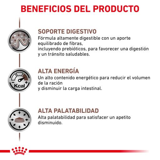Royal Canin® Veterinary Gastrointestinal – Alimento Húmido para Gatos Adultos com Sensibilidades Gastrointestinais
