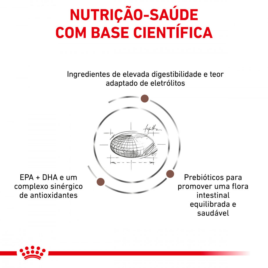 Royal Canin® Veterinary Gastrointestinal Moderate Calorie – Ração para Gatos Adultos com Sensibilidade Gastrointestinal e Tendência para o Excesso de Peso