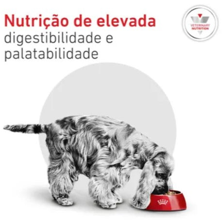 Royal Canin® Veterinary Glycobalance Small Dog – Ração para Cão Adulto de Raça Pequena