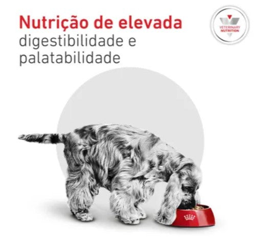 Royal Canin® Veterinary Glycobalance Small Dog – Ração para Cão Adulto de Raça Pequena