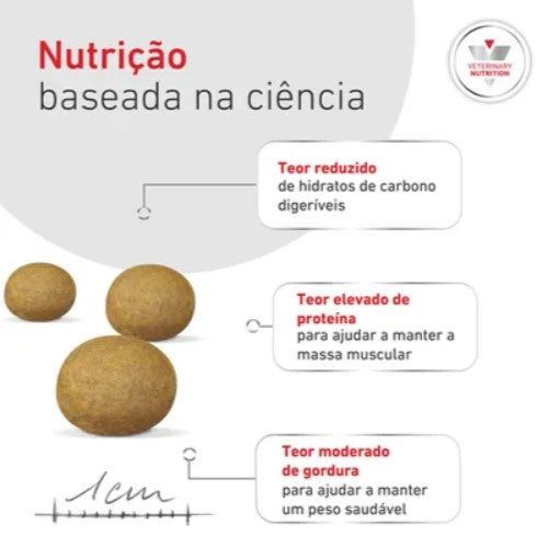 Royal Canin® Veterinary Glycobalance Small Dog – Ração para Cão Adulto de Raça Pequena
