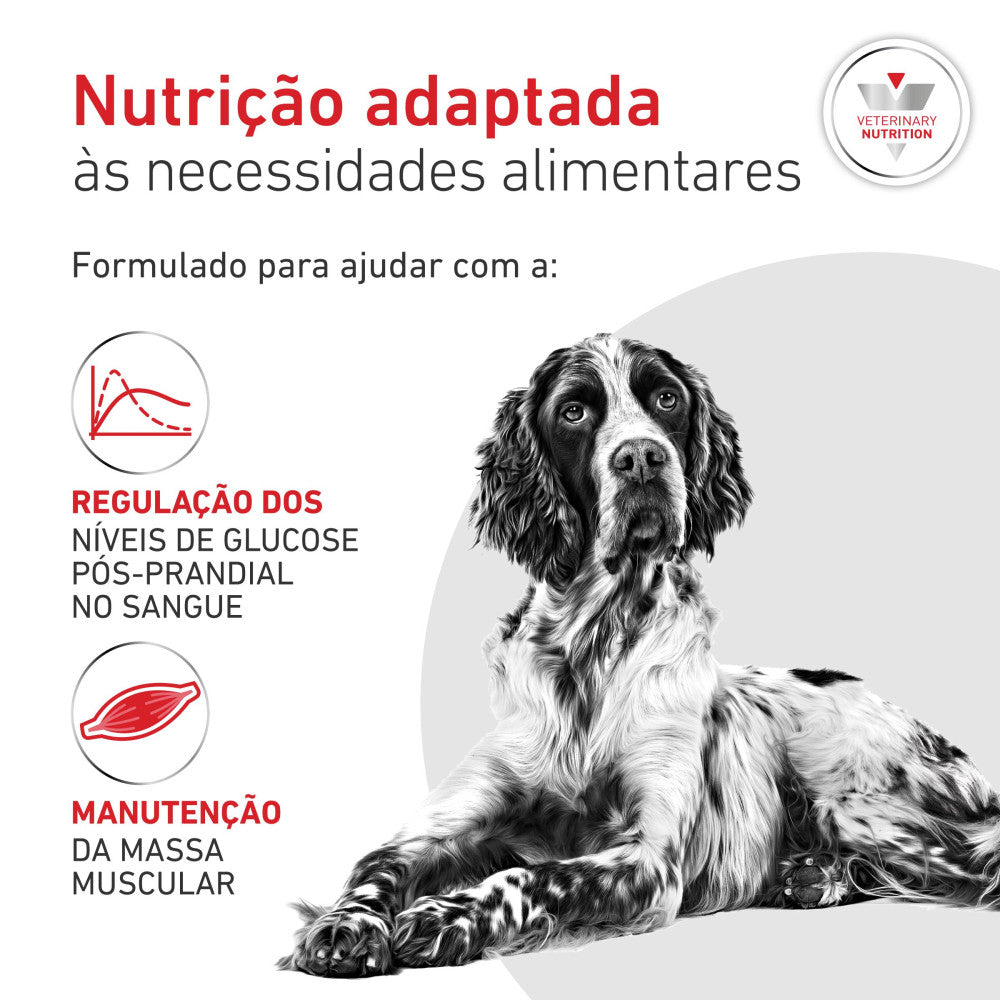 Royal Canin® Veterinary Glycobalance Cão Adulto – Alimento Húmido para Diabetes com Baixo Teor de Hidratos de Carbono