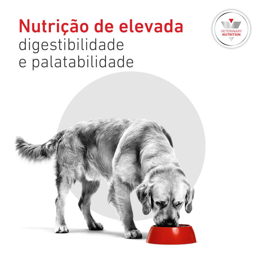 Royal Canin® Veterinary Glycobalance Cão Adulto – Alimento Húmido para Diabetes com Baixo Teor de Hidratos de Carbono