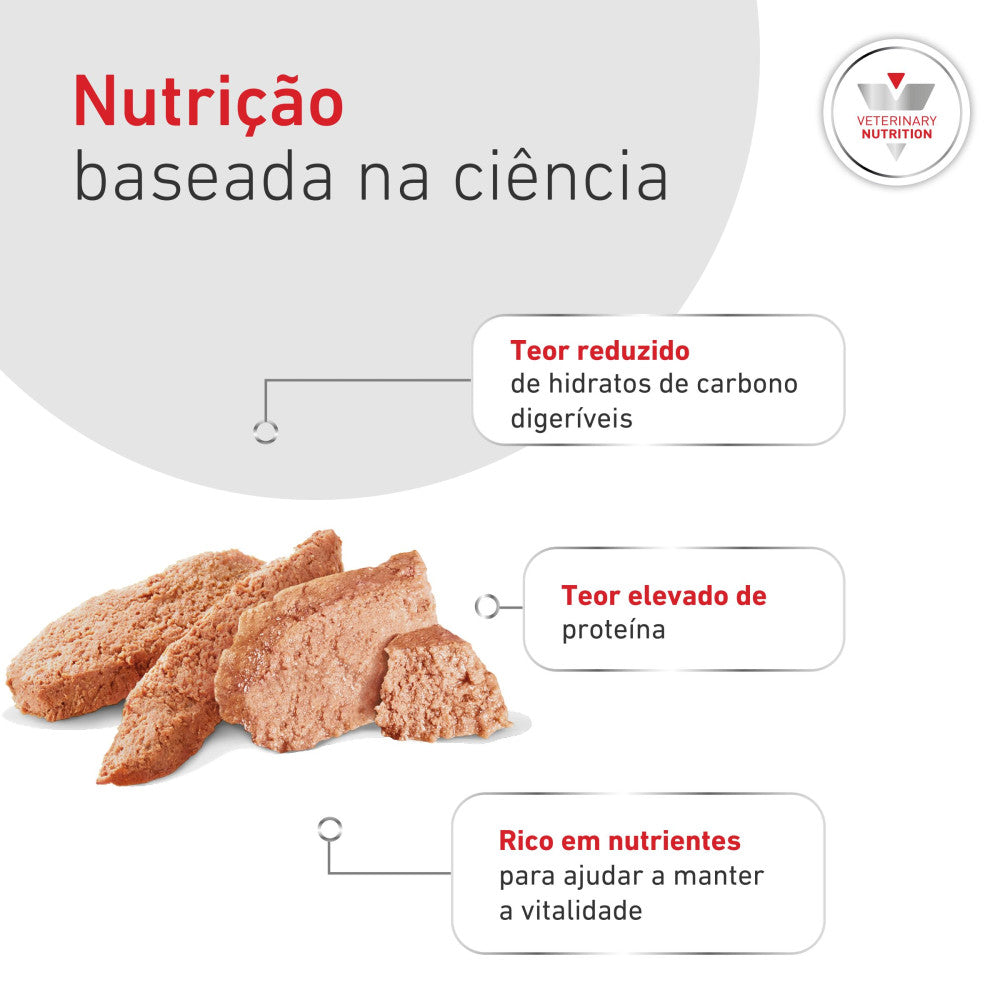 Royal Canin® Veterinary Glycobalance Cão Adulto – Alimento Húmido para Diabetes com Baixo Teor de Hidratos de Carbono