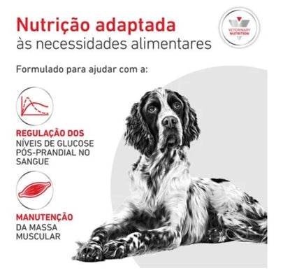 Royal Canin® Veterinary Glycobalance – Ração para Cão Adulto