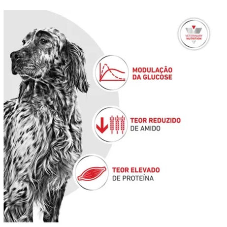 Royal Canin® Veterinary Glycobalance – Ração para Cão Adulto