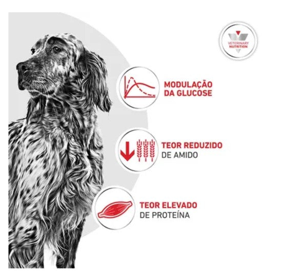 Royal Canin® Veterinary Glycobalance – Ração para Cão Adulto