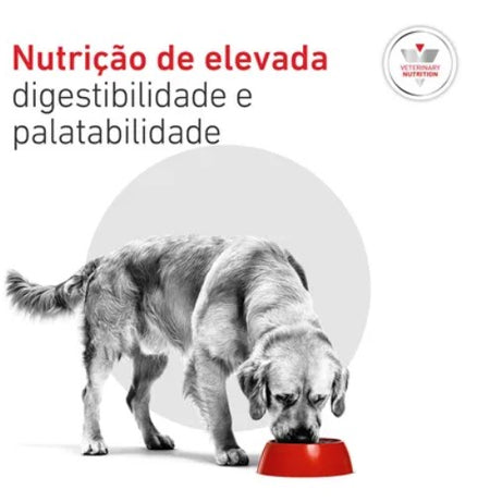 Royal Canin® Veterinary Glycobalance – Ração para Cão Adulto