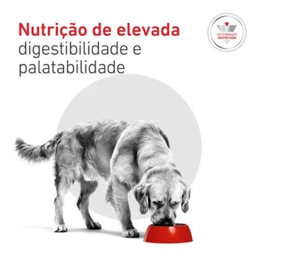 Royal Canin® Veterinary Glycobalance – Ração para Cão Adulto