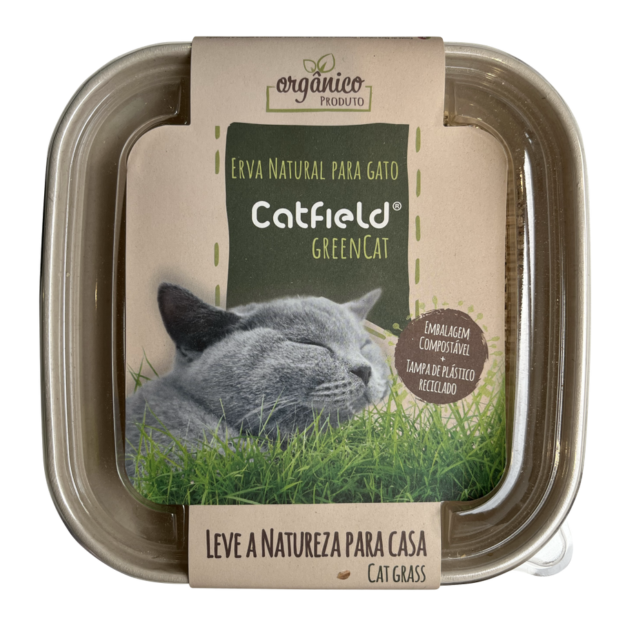 Catfield Green Cat Grass for Cats and Rabbits