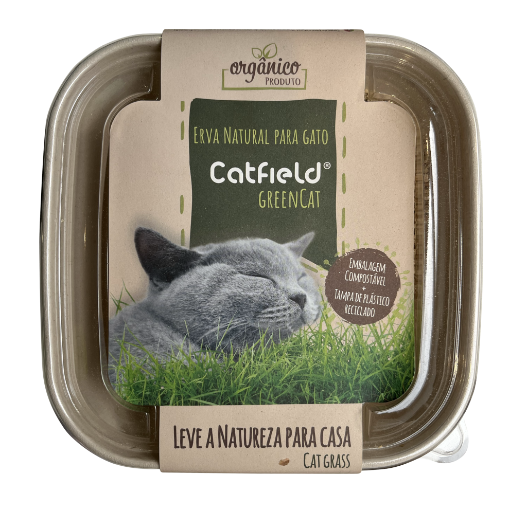 Catfield Green Cat Grass for Cats and Rabbits