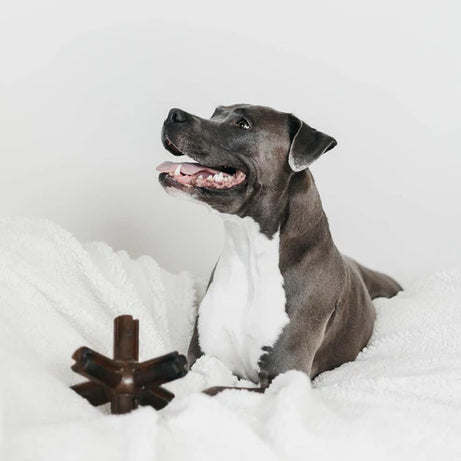 Juguete para perros - Hueso para frotar