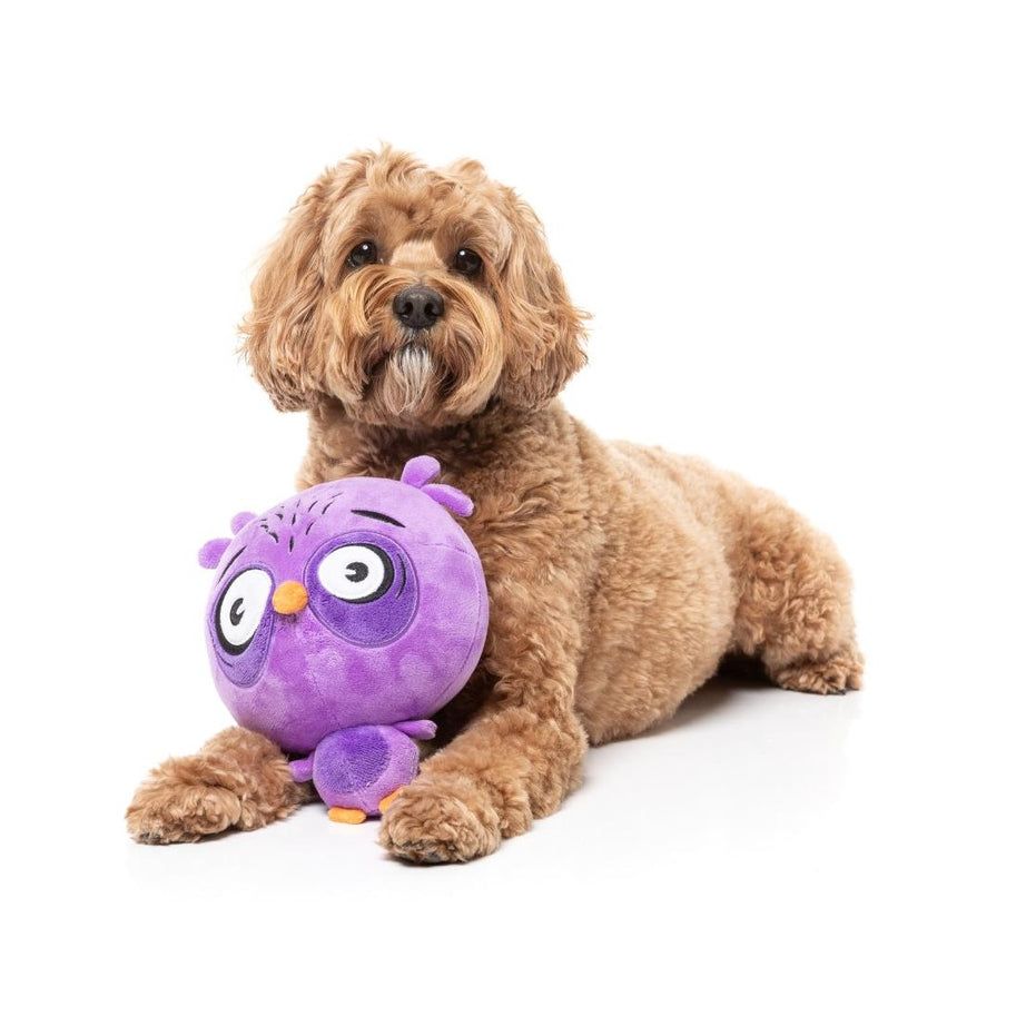 FuzzYard Peluche para Cão – The Noggings (As Cabeças)