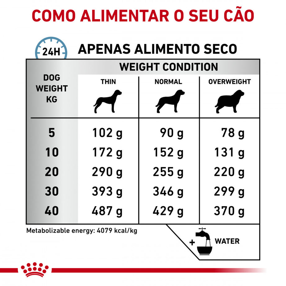 Royal Canin® Veterinary Hypoallergenic – Ração Hipoalergénica para Cães Adultos