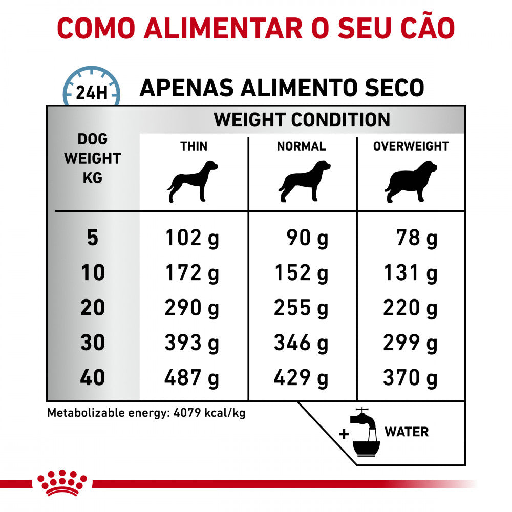 Royal Canin® Veterinary Hypoallergenic – Ração Hipoalergénica para Cães Adultos