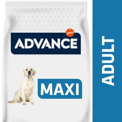 Advance Ração Cão Maxi Adult Frango & Arroz | 14 kg - DOGGIE STORE
