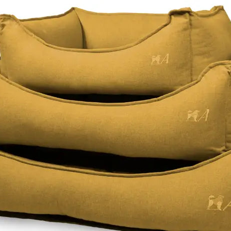 Mustard Yellow Misty Cama Agui