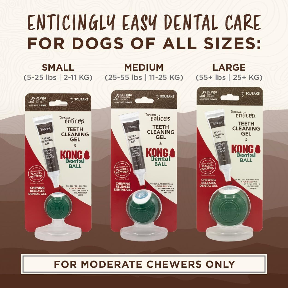 Kong Dental Kit