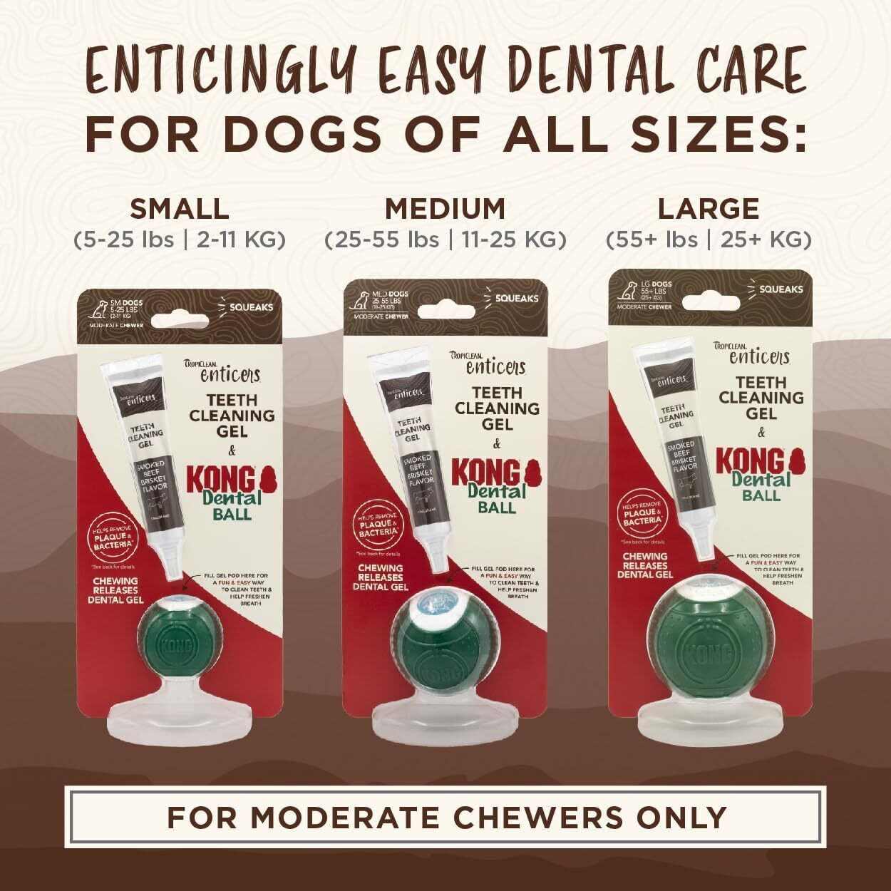 Kong Dental Kit